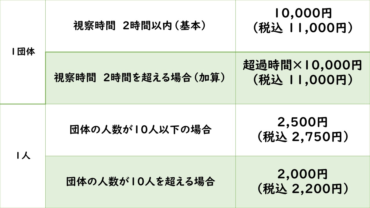 視察料金表